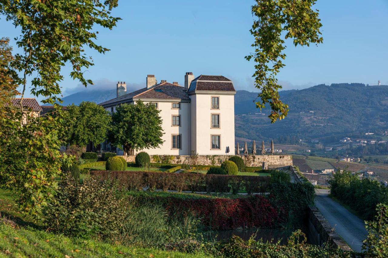 Chateau Du Souzy Quincié-en-Beaujolais Екстериор снимка