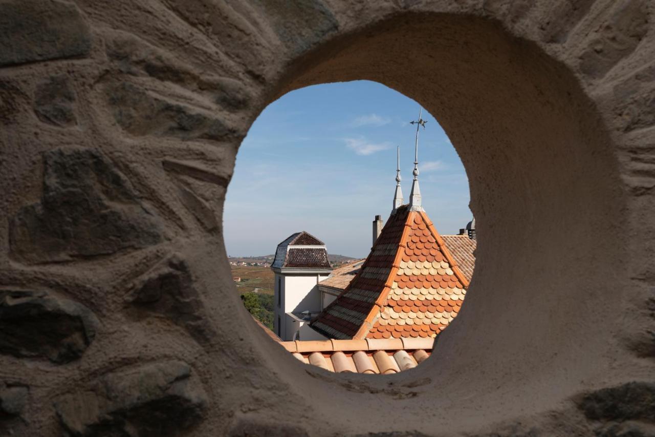 Chateau Du Souzy Quincié-en-Beaujolais Екстериор снимка